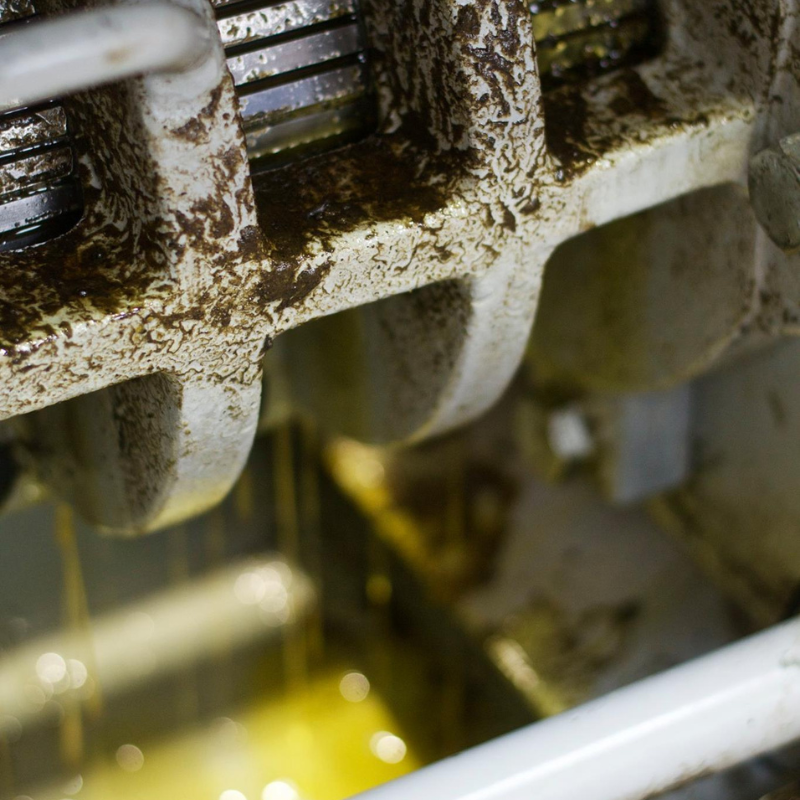 Fussels Rapeseed Press - Cold Pressing British Rapeseed Oil