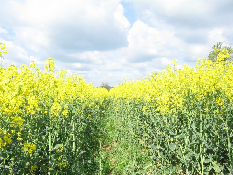 Update on our new site