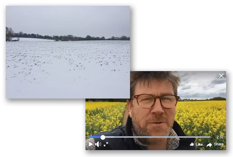 What a difference a few weeks make...